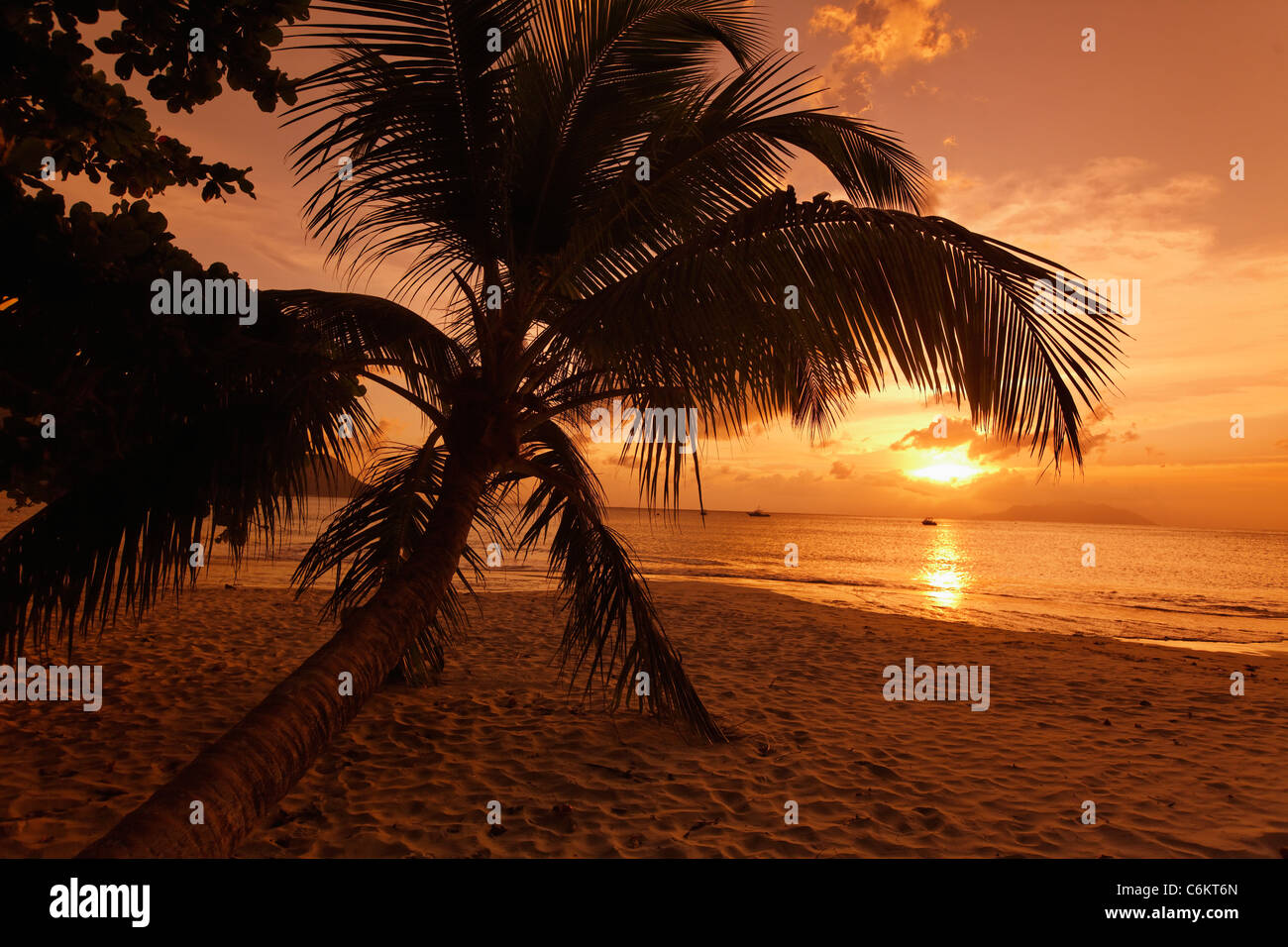 Coral Beach Sunset , Baie de Beau Vallon, l'île de Mahé, Seychelles, océan Indien, Afrique Banque D'Images