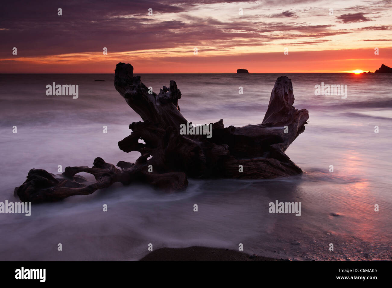 Driftwood dans tide au coucher du soleil, le Rialto Beach, Olympic National Park, Washington, USA Banque D'Images