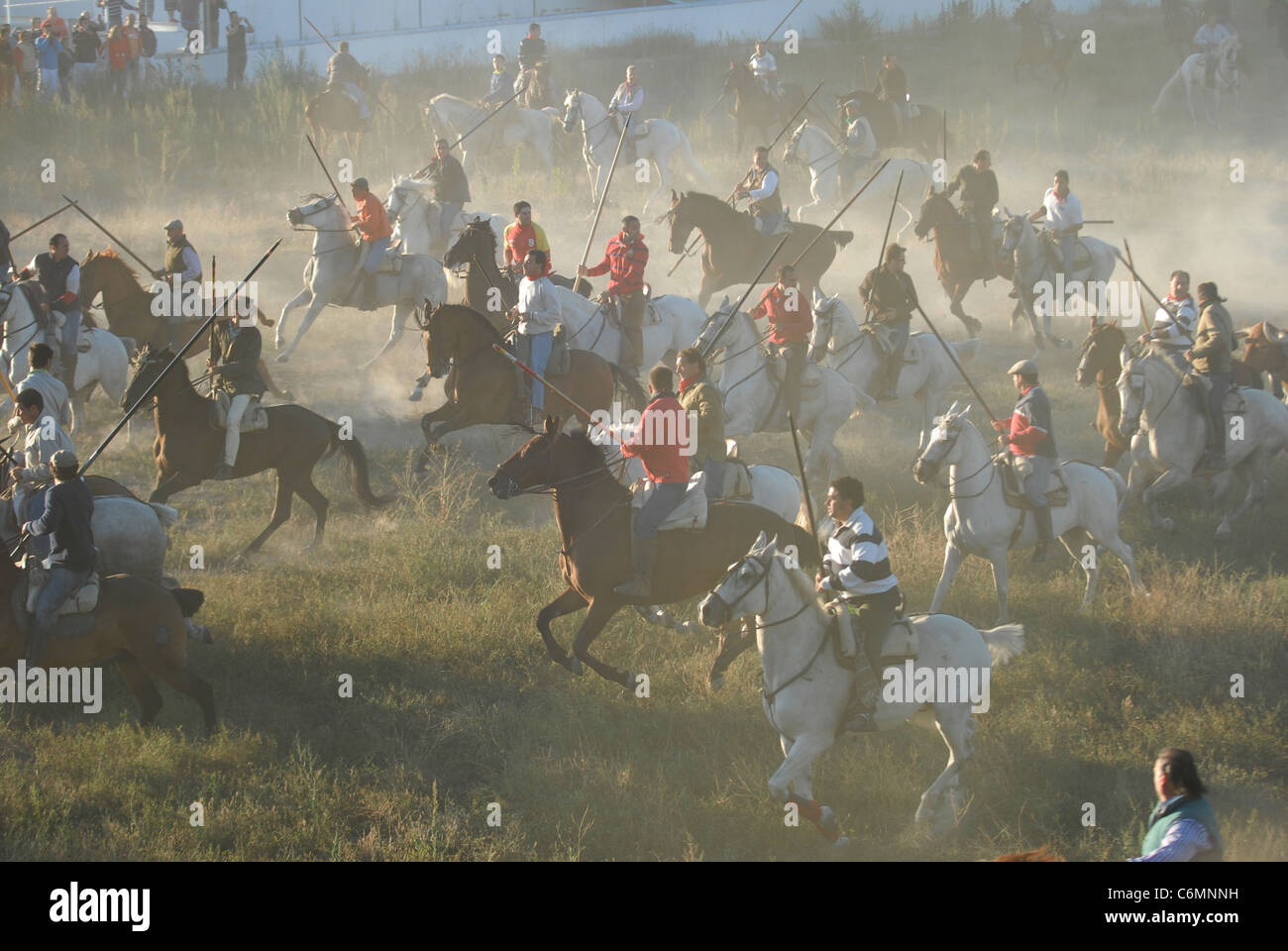 'Los Encierros de Cuéllar', la plus ancienne et la plus authentique des courses de taureaux en Espagne Banque D'Images