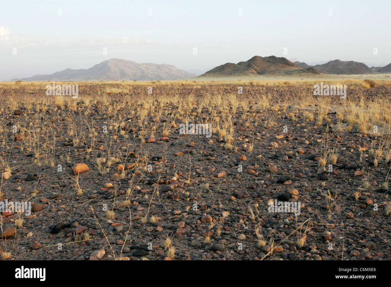 Un paysage de désert de désolation Banque D'Images