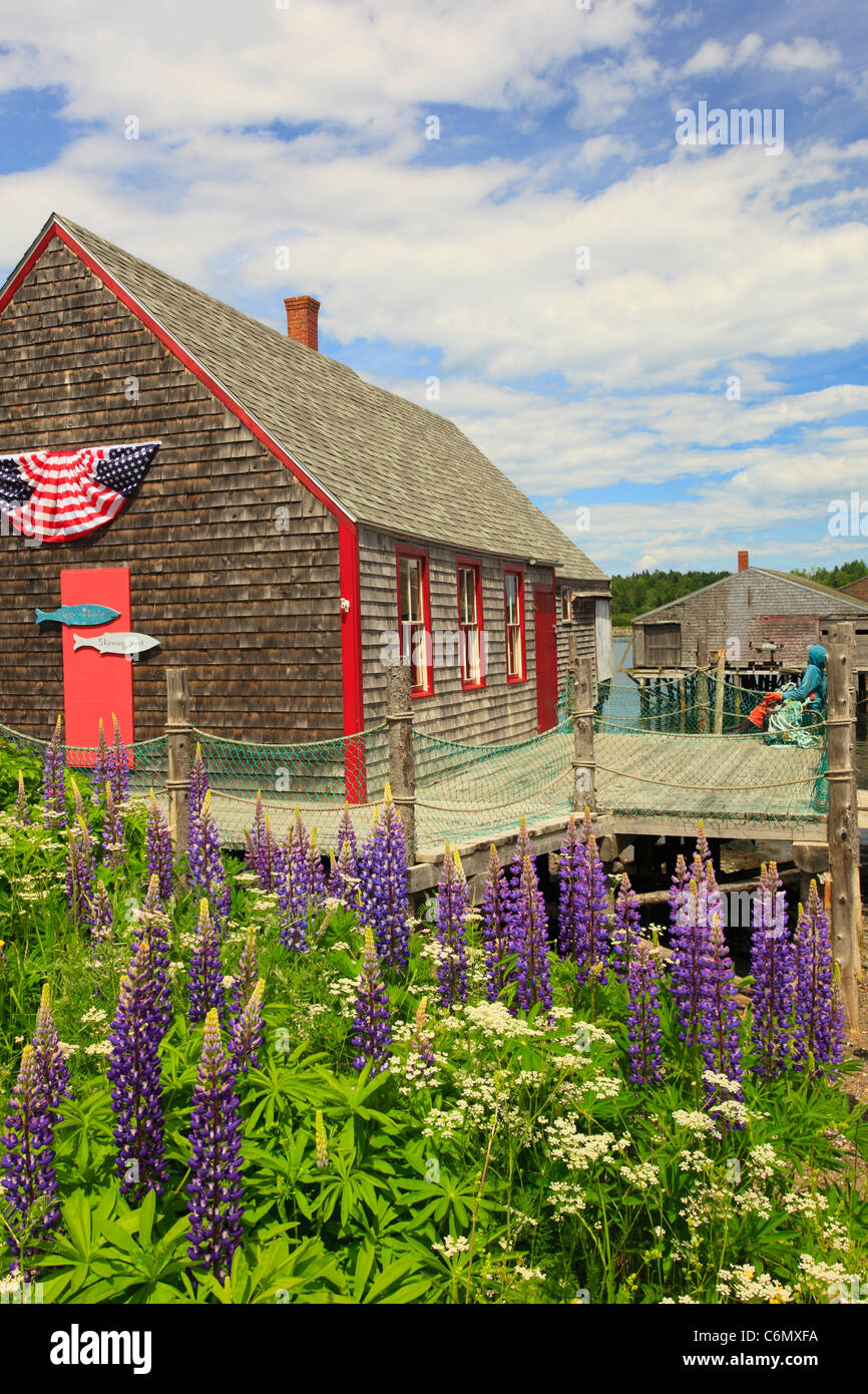 McCurdy Smokehouse, Lubec, Maine, USA Banque D'Images