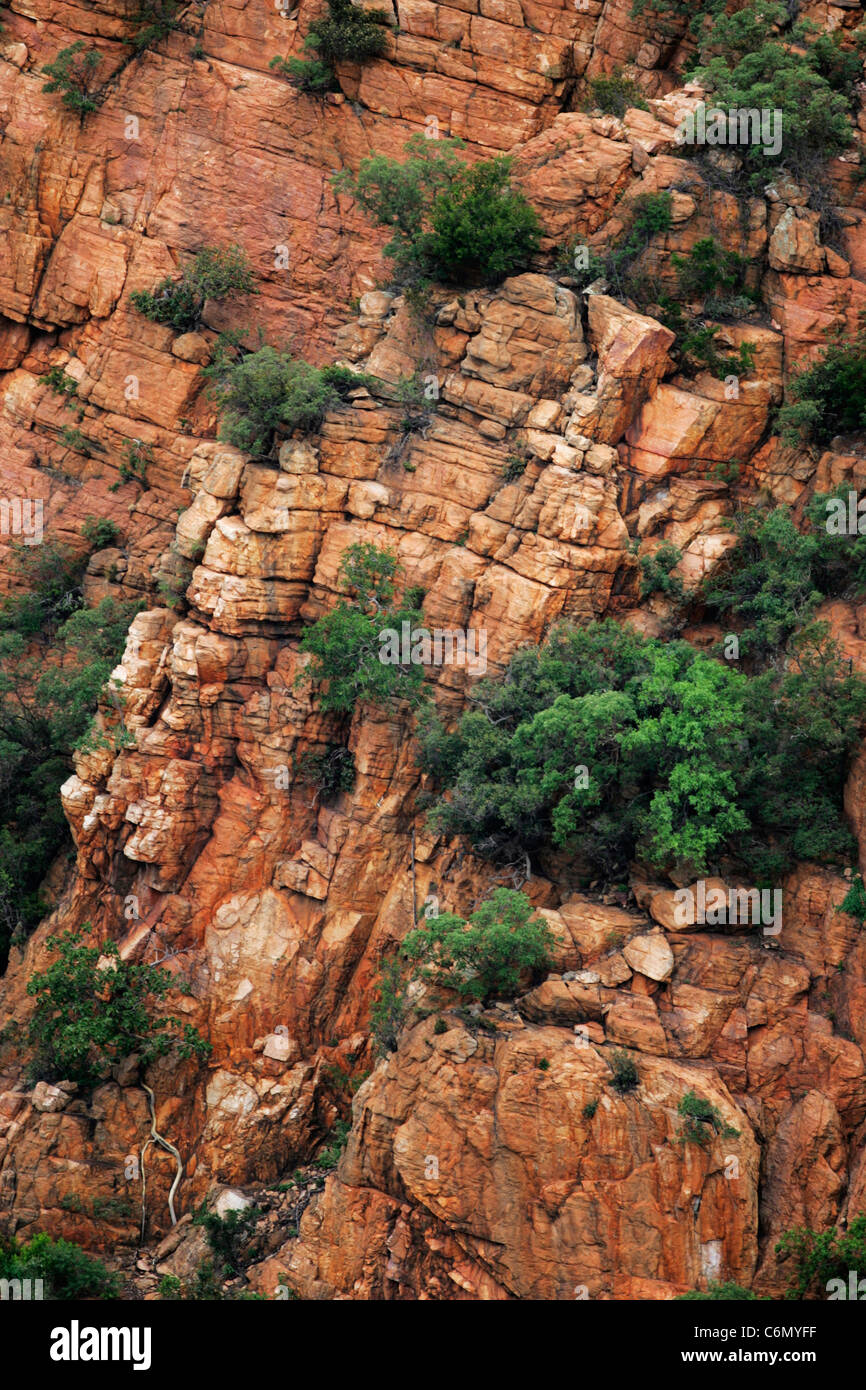 Un éperon kloof dans l'Graskop Banque D'Images