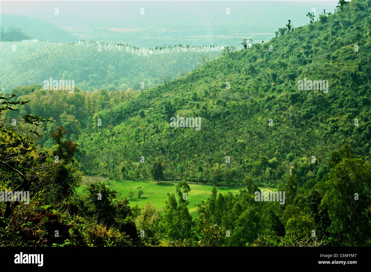 Paysage verdoyant de la vallée menant à Charata-Uttarakhand-Inde. Banque D'Images