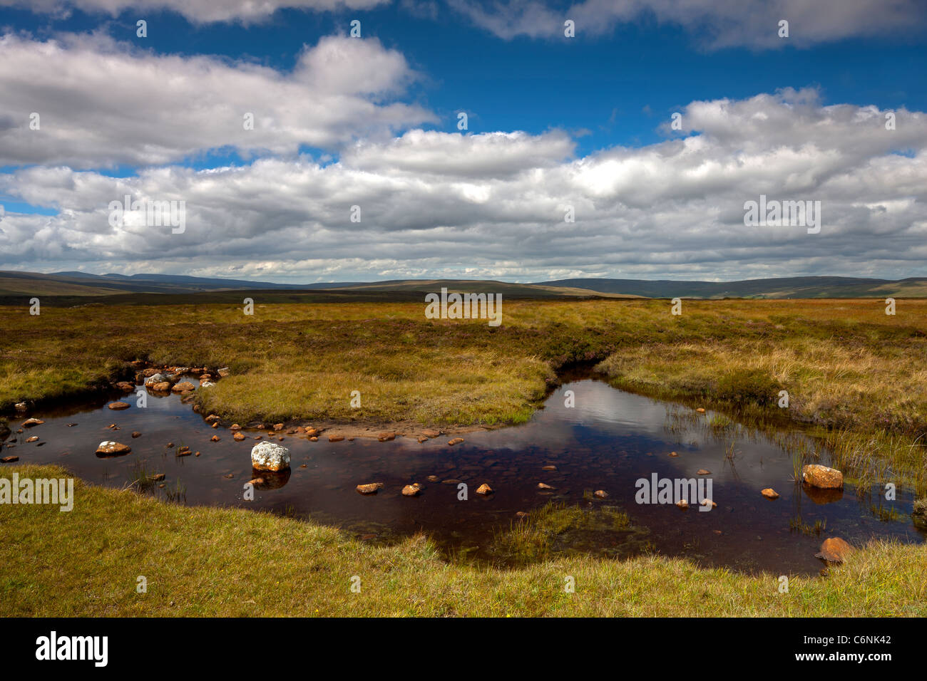 La région de Teesdale Moor près de Langdon Beck dans le comté de Durham, North Pennines en été Banque D'Images