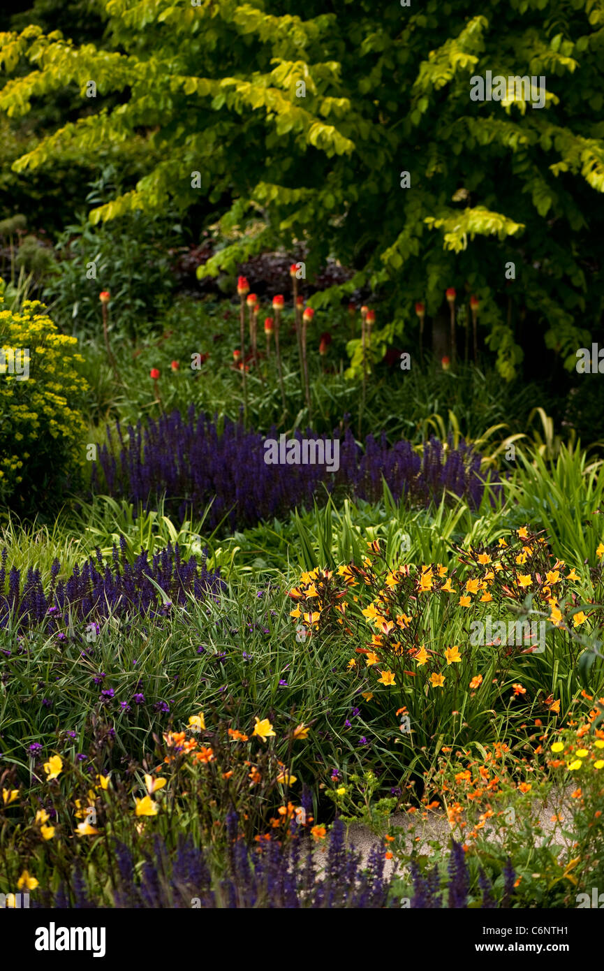 Le jardin chaud en juin, RHS Rosemoor, Devon, Angleterre, Royaume-Uni Banque D'Images