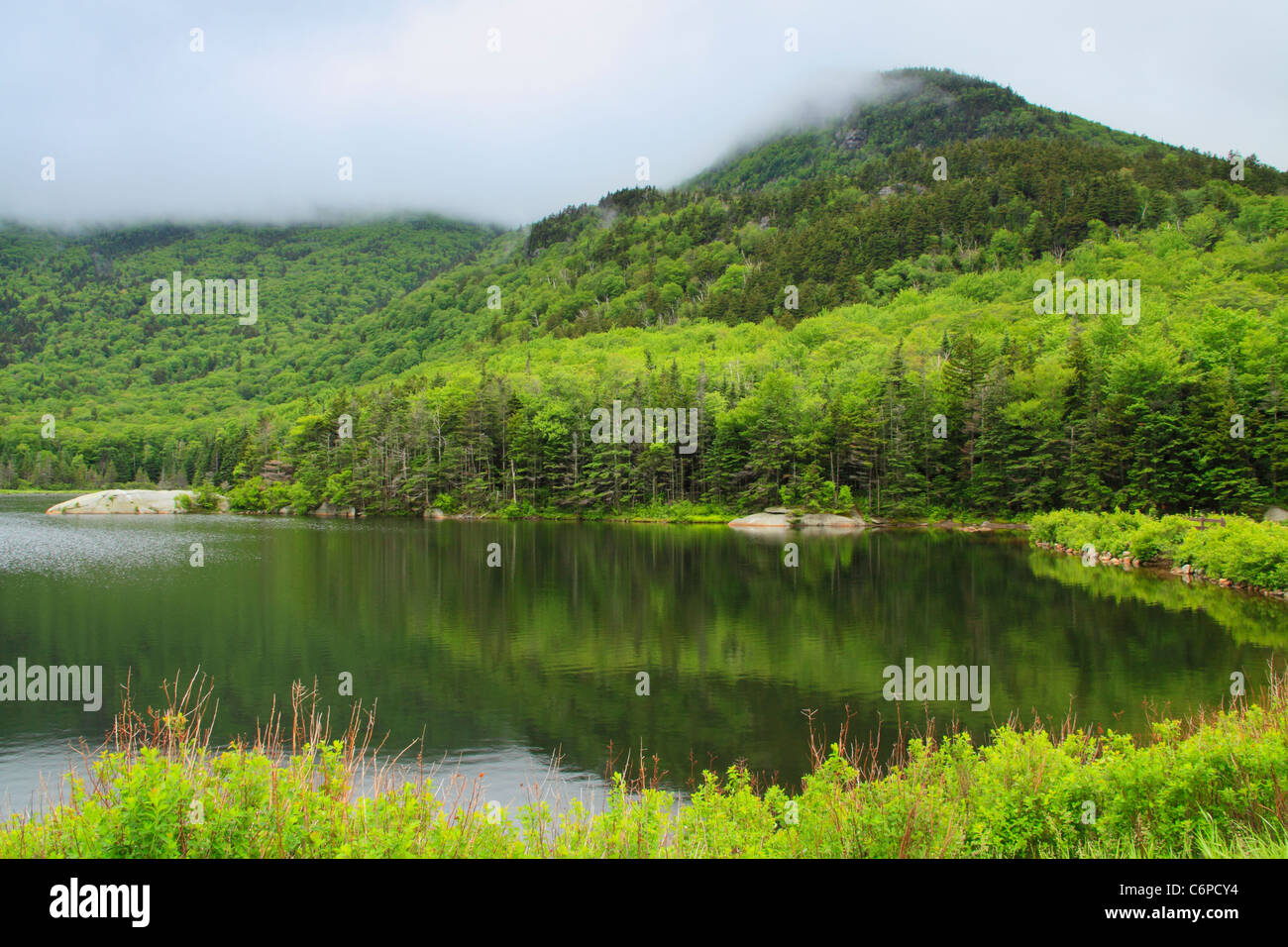 Sentier Beaver Pond, Appalachain, Lincoln, New Hampshire, USA Banque D'Images