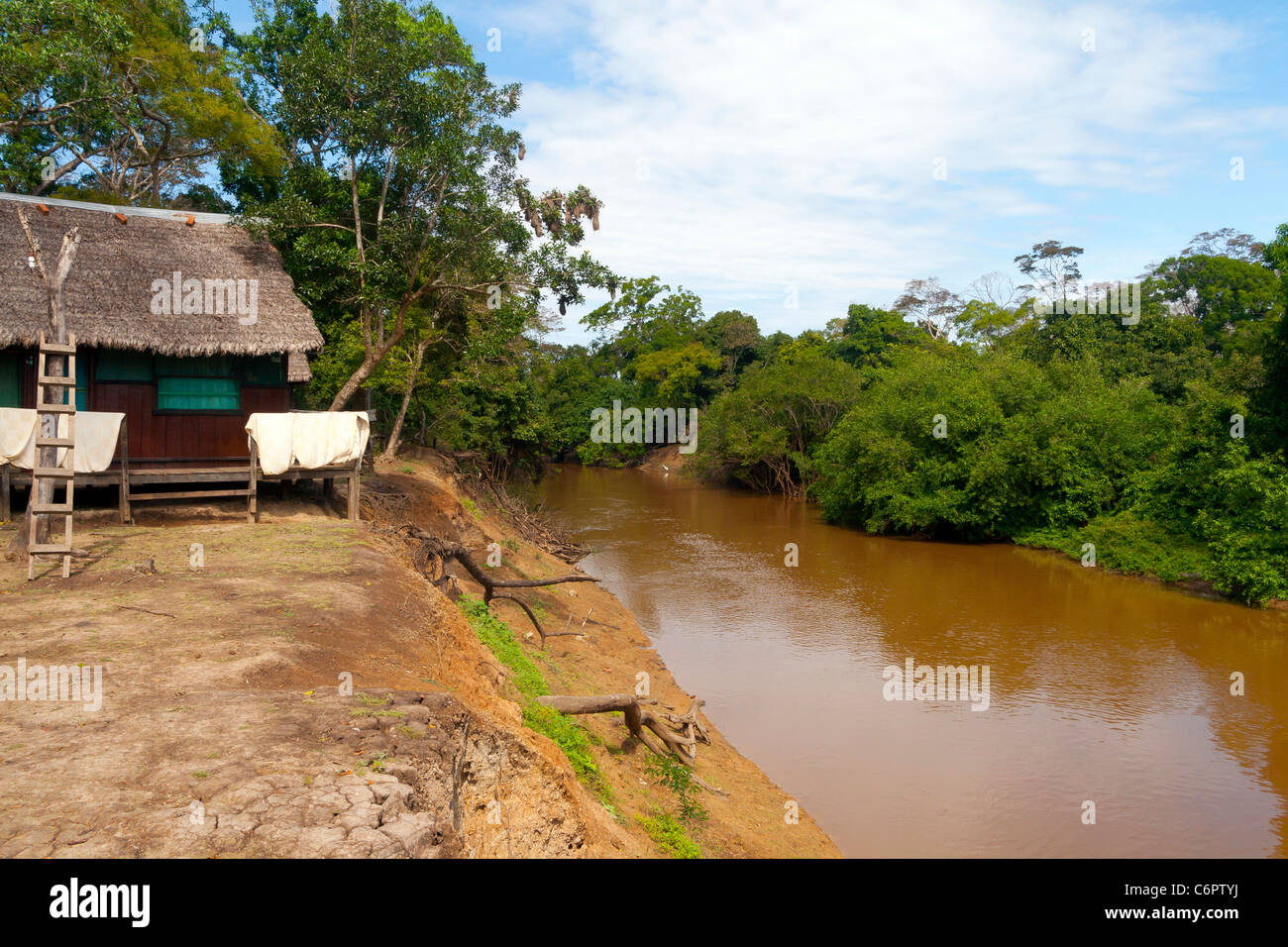 Rio Yacuma en parc national Madidi mosaïque, en Bolivie Banque D'Images