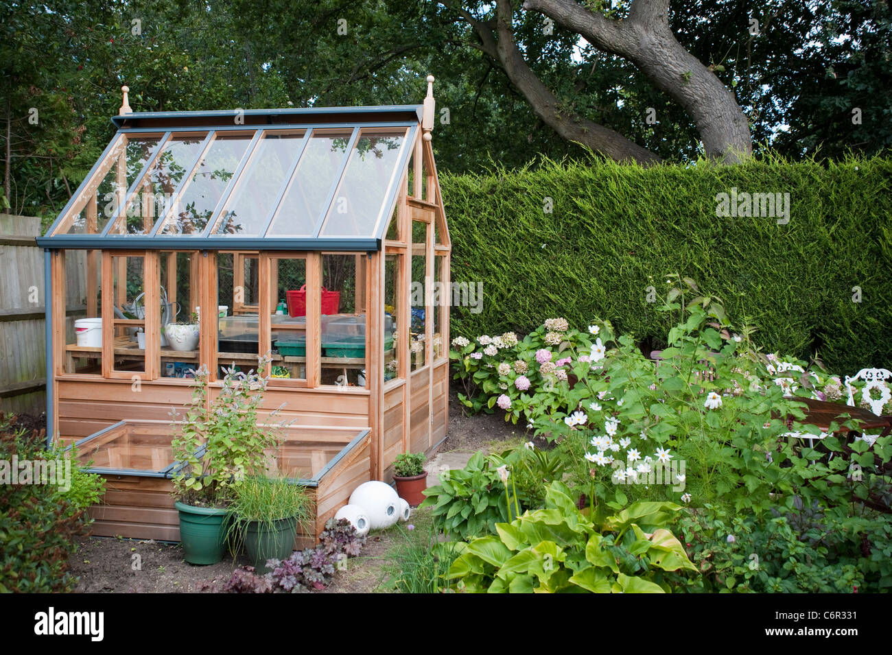 Tout nouveau cute petite serre dans un jardin privé à Londres avec beaucoup de plantes à massif à l'avant et quelques arbres. Banque D'Images