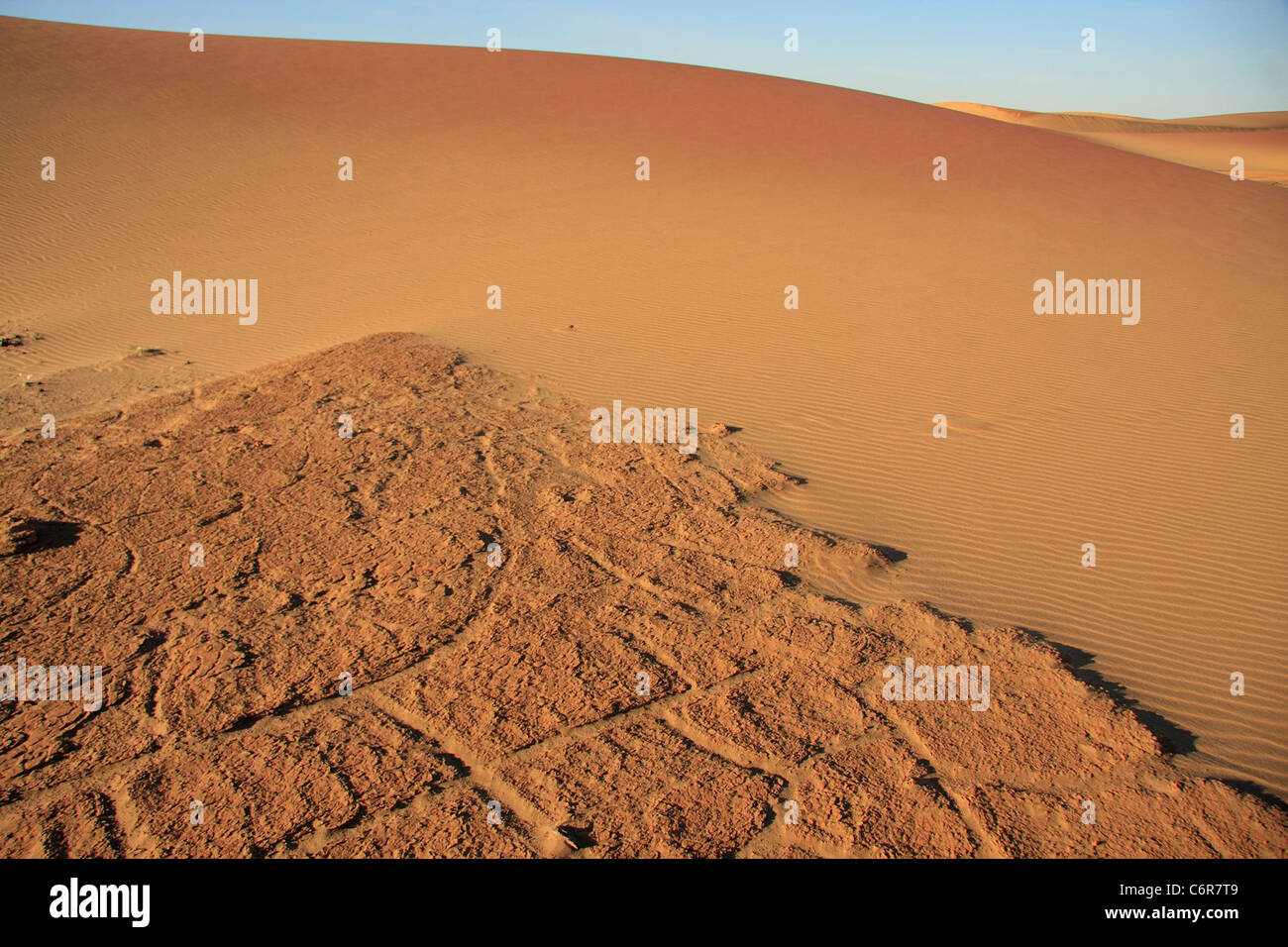 Paysage de champ de dunes Banque D'Images