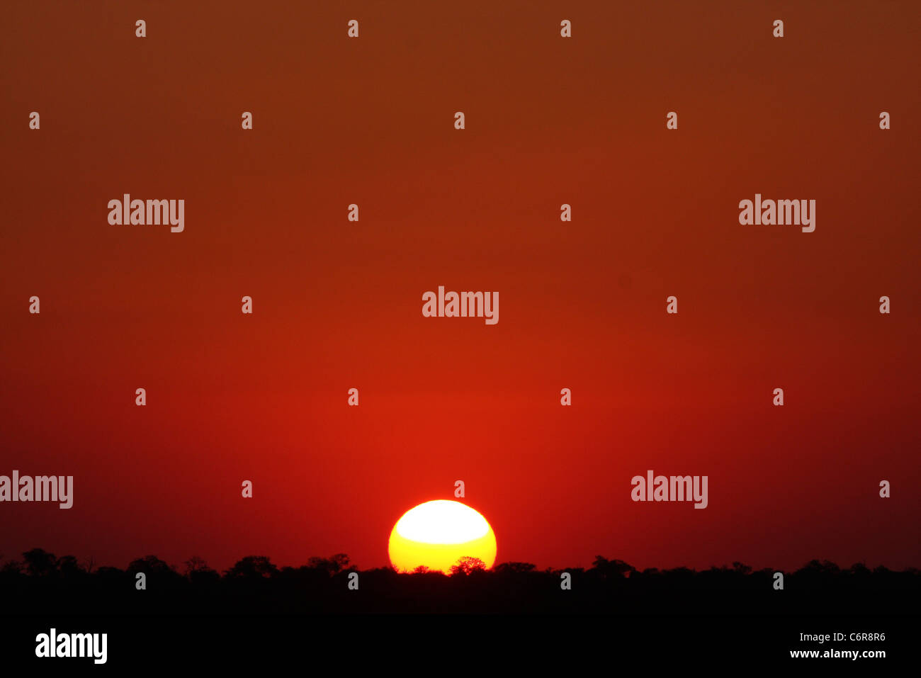 Coucher du soleil avec ciel rouge Bushveld et coucher de soleil sur l'horizon Banque D'Images