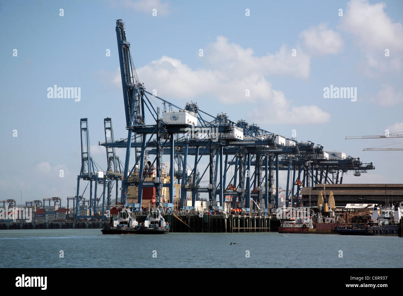 Les Ports de Panama Société à Balboa, sur l'entrée pacifique du Canal de Panama. Banque D'Images