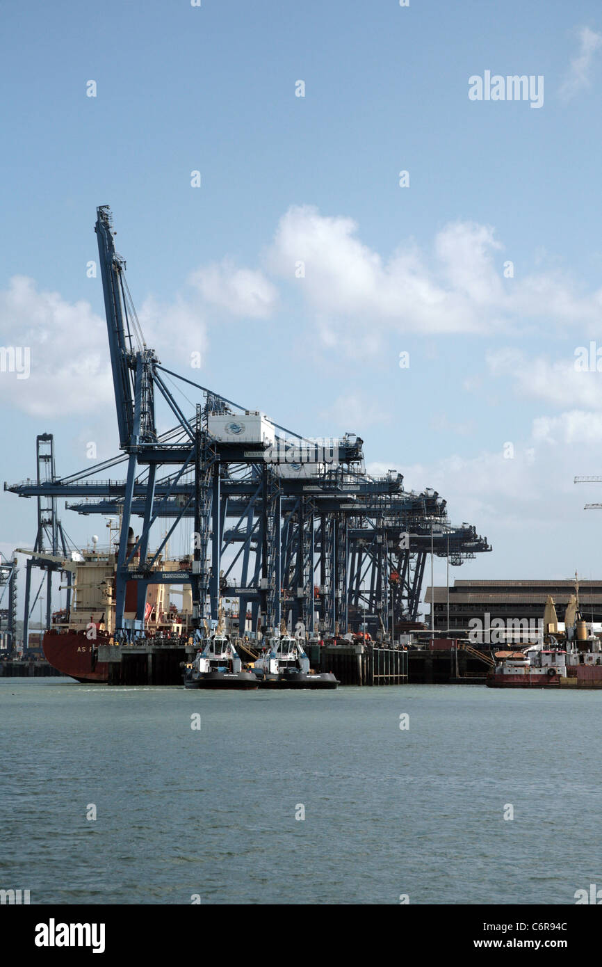 Les Ports de Panama Société à Balboa, sur l'entrée pacifique du Canal de Panama. Banque D'Images