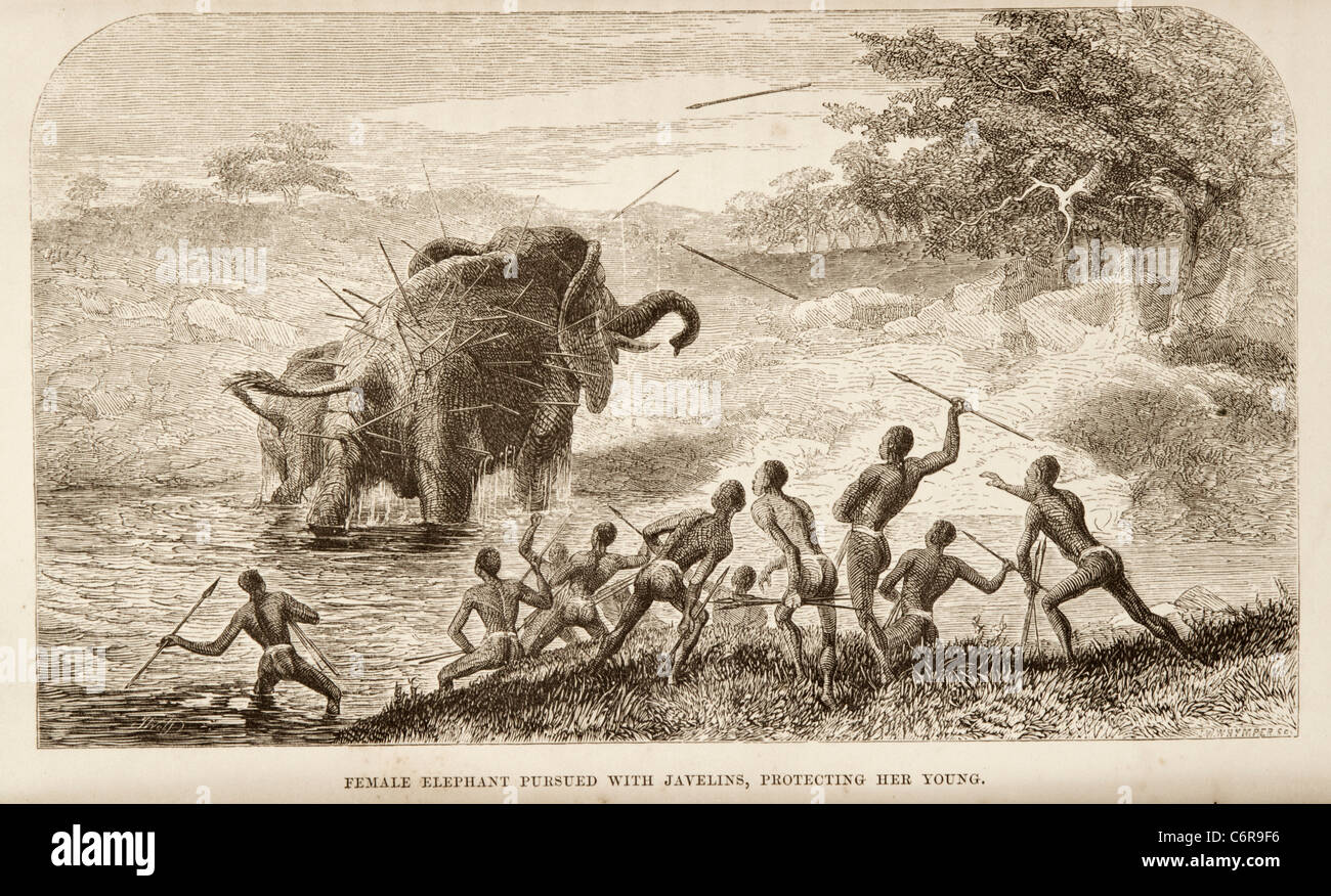 Illustration de la chasse aux autochtones avec des lances d'éléphants dans la vallée du Zambèze, à partir de l'ouvrage de David Livingstone Banque D'Images