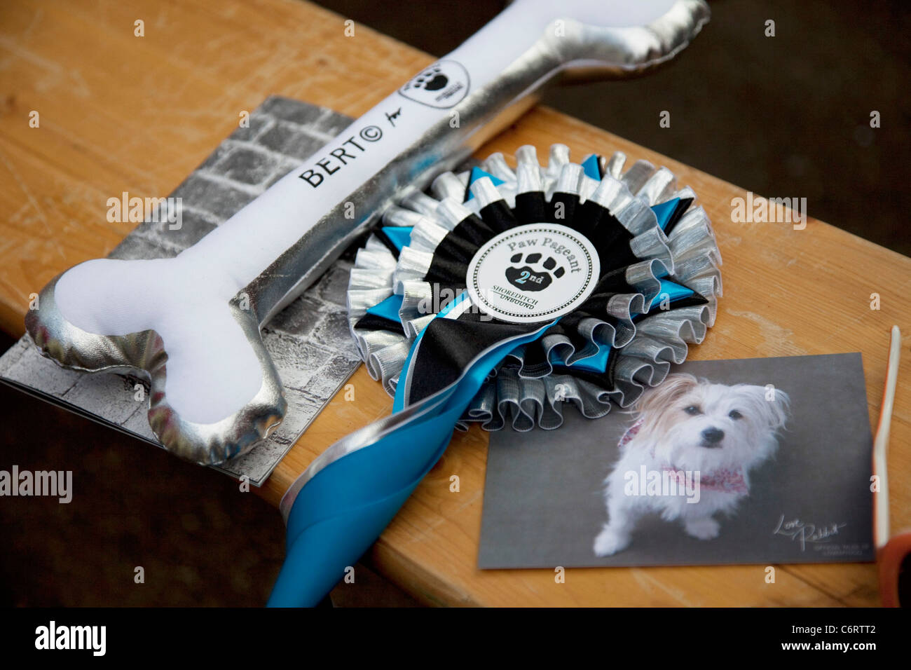 Paw Pageant dog show au Marché de Spitalfields, Londres. La population locale entrez leurs chiens dans la Shoreditch Festival Non Dog Show Banque D'Images