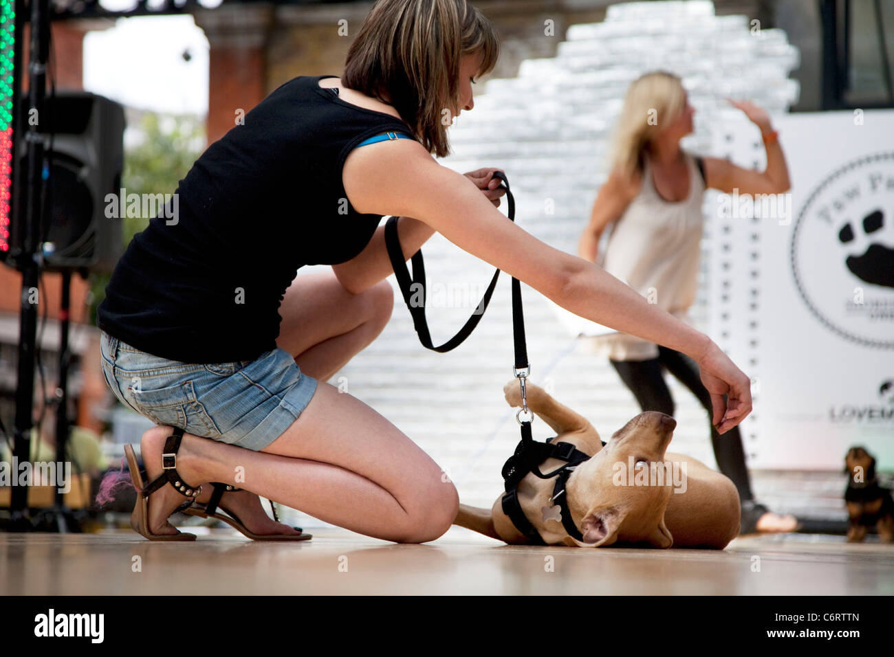 Paw Pageant dog show au Marché de Spitalfields, Londres. La population locale entrez leurs chiens dans la Shoreditch Festival Non Dog Show Banque D'Images