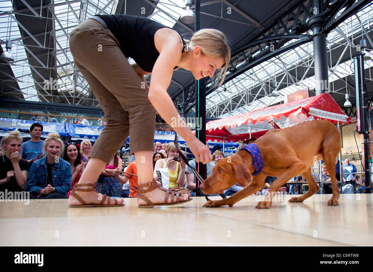 Paw Pageant dog show au Marché de Spitalfields, Londres. La population locale entrez leurs chiens dans la Shoreditch Festival Non Dog Show Banque D'Images
