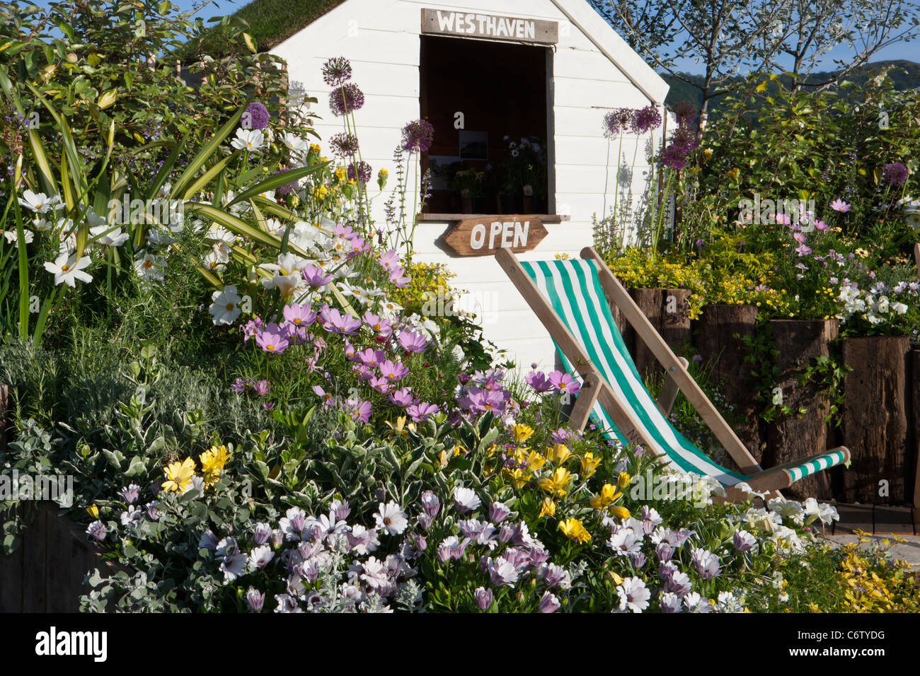 Cabanon peint et fleurs avec chaises longues - lits surélevés colorés bordures de fleurs à la frontière du Royaume-Uni Banque D'Images