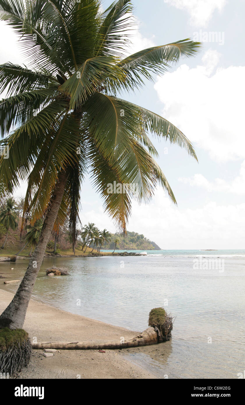 Côte des Caraïbes plage de Punta Manzanillo, Colon, Panama, région de La Guaira, près de l'Isla Grande, pendant une journée ensoleillée. Banque D'Images