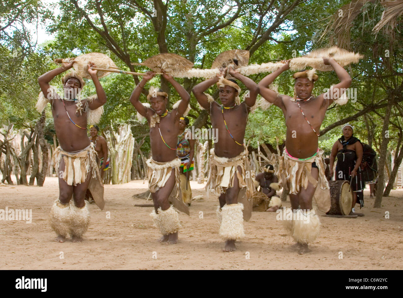 Les guerriers zoulous effectuer la danse de bienvenue Banque D'Images