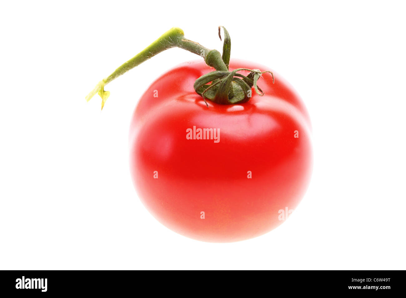 Tomato isolé sur fond blanc Banque D'Images Tomato isolé sur fond blanc Banque D'Images