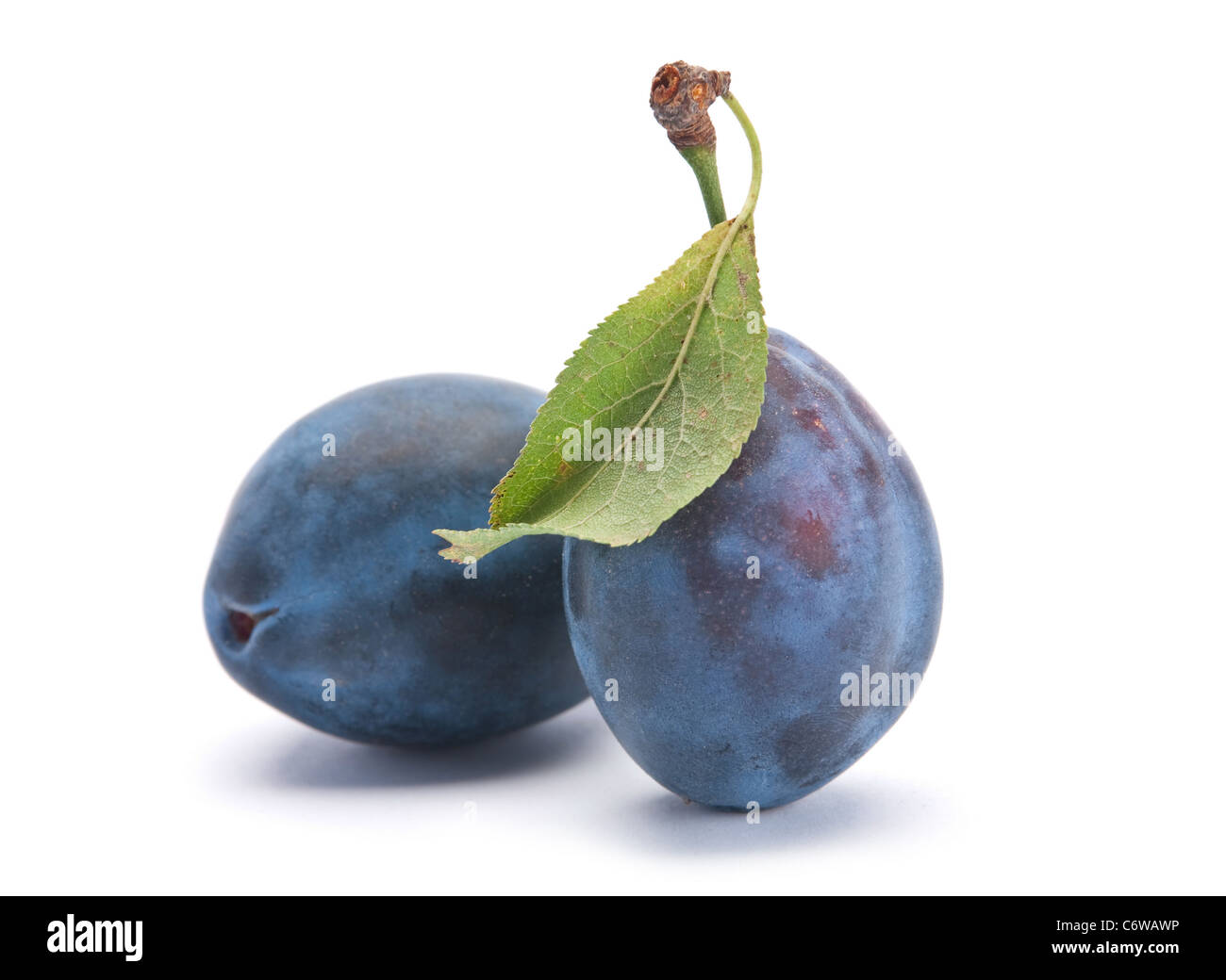 Blue fruit mûres libre isolated on white Banque D'Images