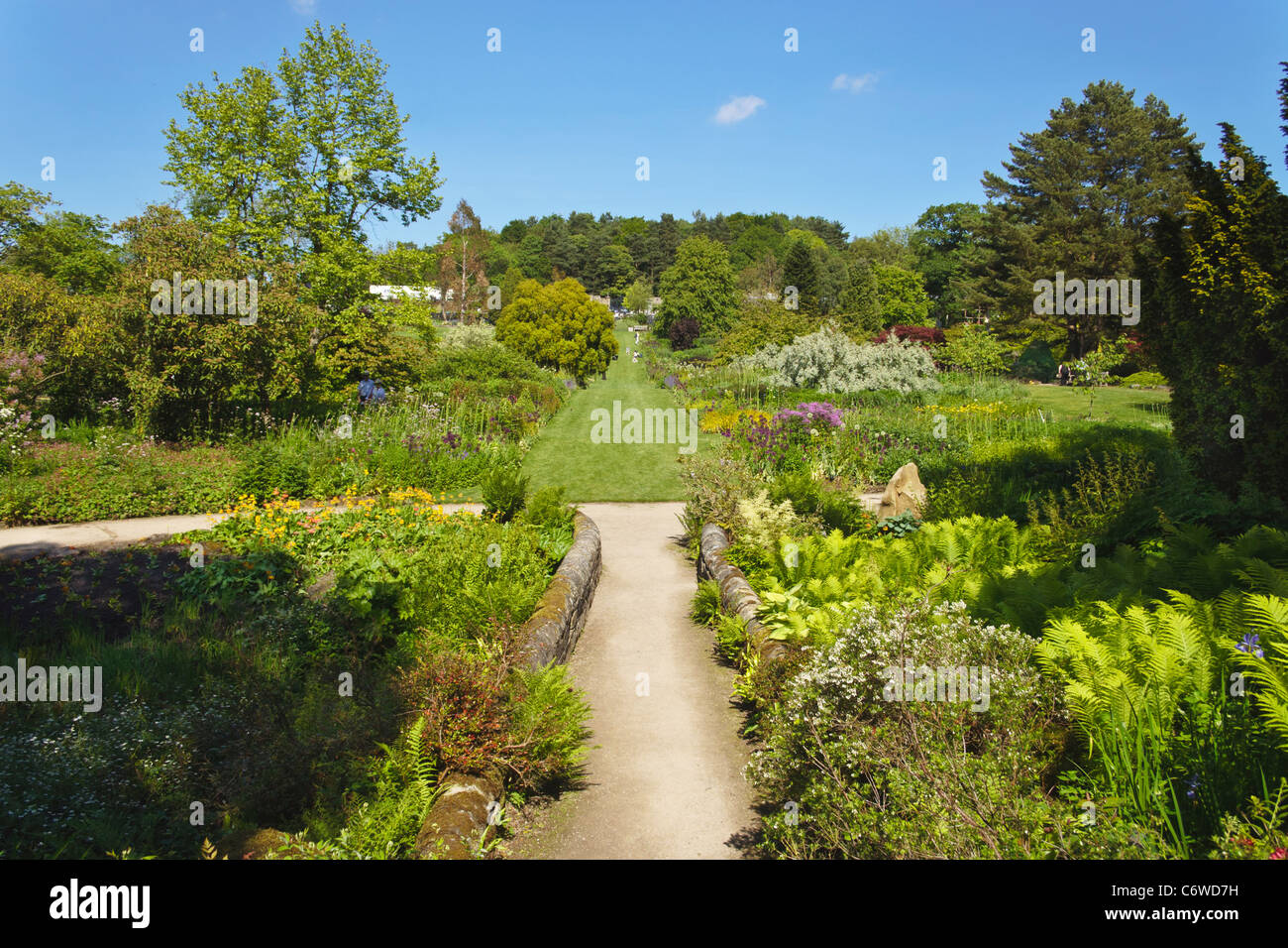 Harlow Carr longue frontière avec pont Banque D'Images
