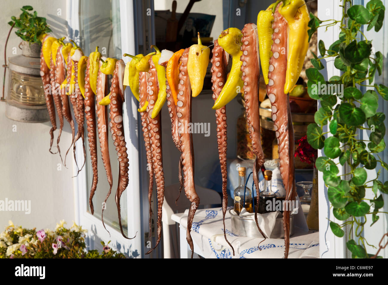 Santorini, Cyclades, Grèce Banque D'Images