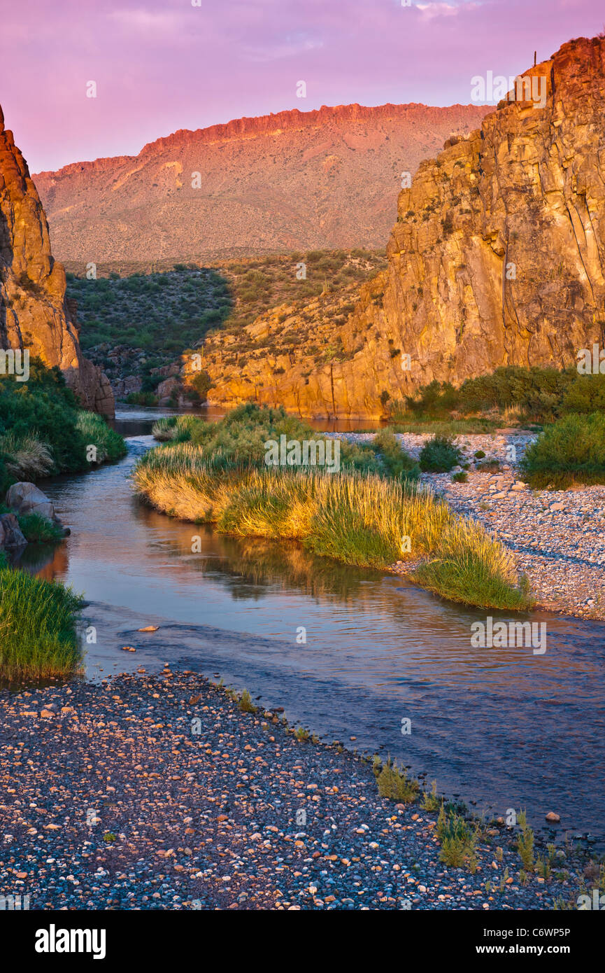 La rivière Salt (O'odham Pima [] : Onk Akimel) est un ruisseau de l'état américain de l'Arizona. C'est le plus grand affluent de la Gila R. Banque D'Images