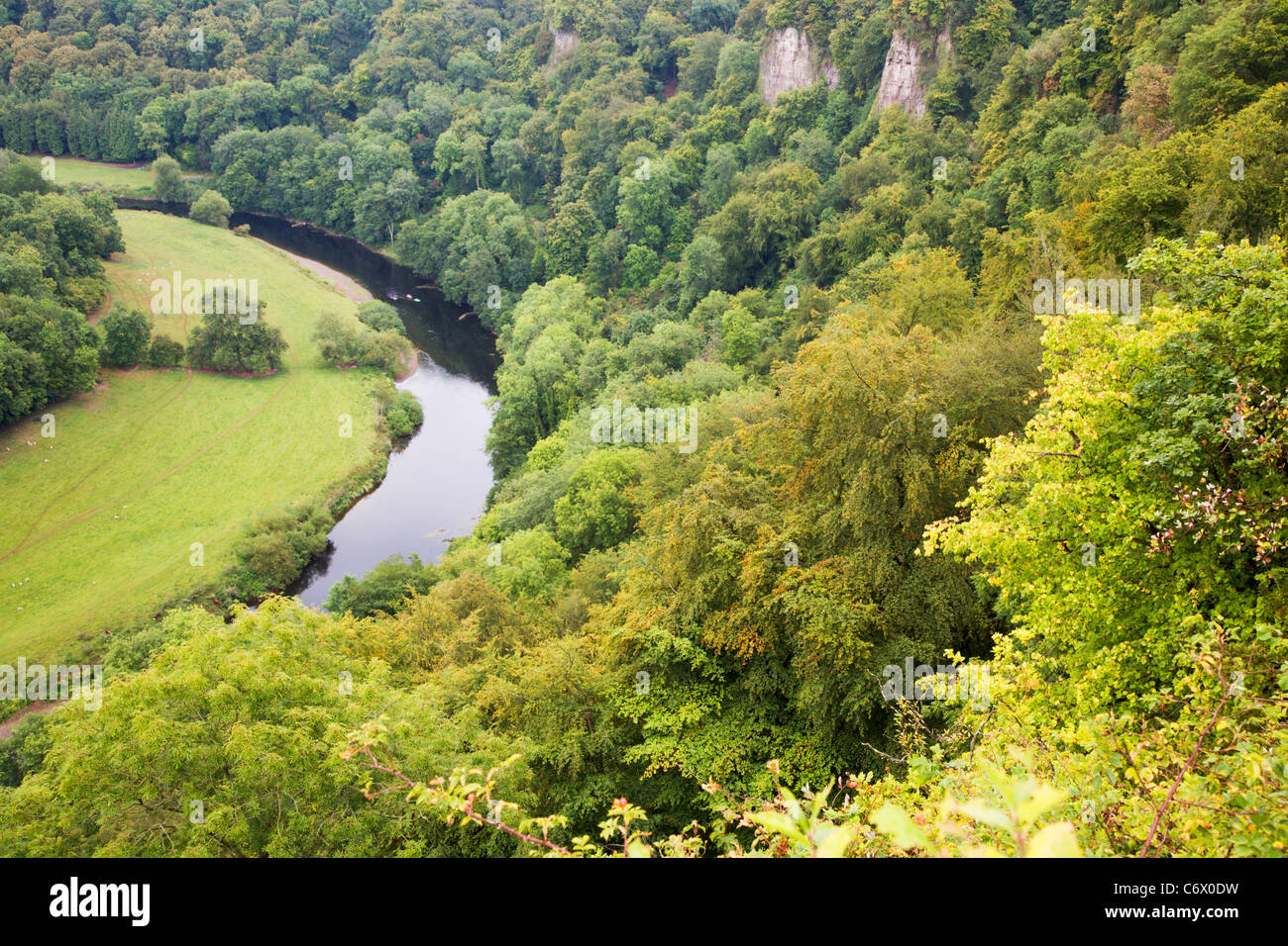 Avis de Symonds Yat Yat Rock Herefordshire Angleterre Banque D'Images