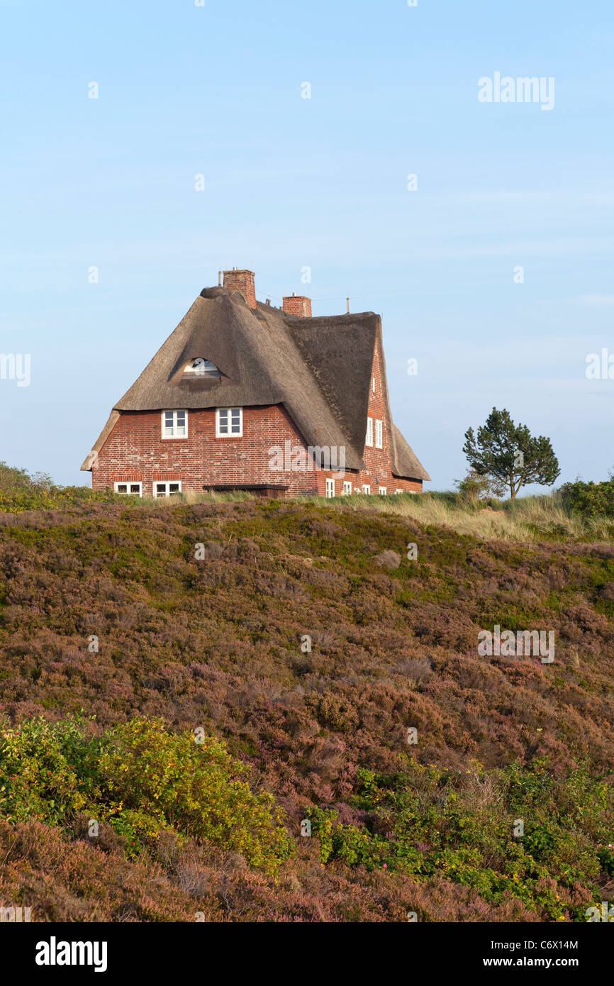 Maison au toit de chaume dans la liste, l'île de Sylt, Schleswig-Holstein, Allemagne Banque D'Images