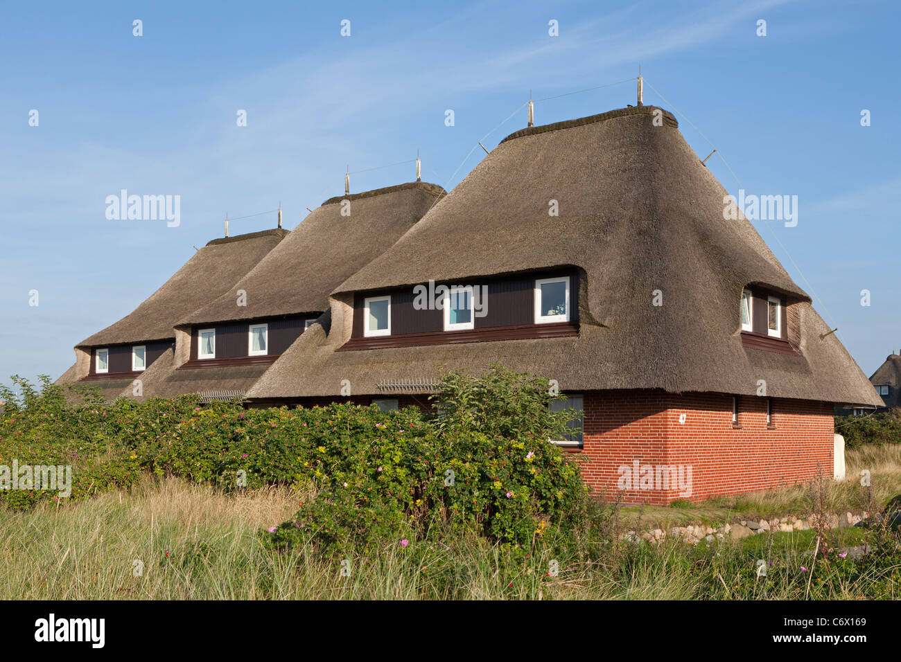 Maisons d'adobe dans la liste, l'île de Sylt, Schleswig-Holstein, Allemagne Banque D'Images