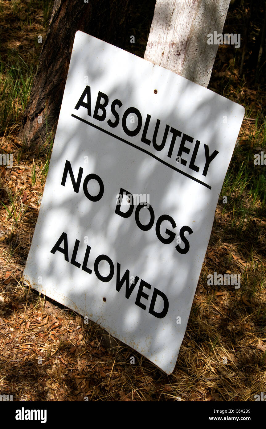 Chiens non admis sign Banque D'Images