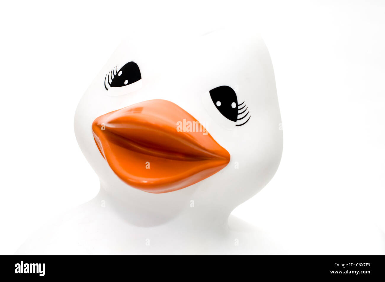 Un canard en caoutchouc blanc sur fond blanc Banque D'Images