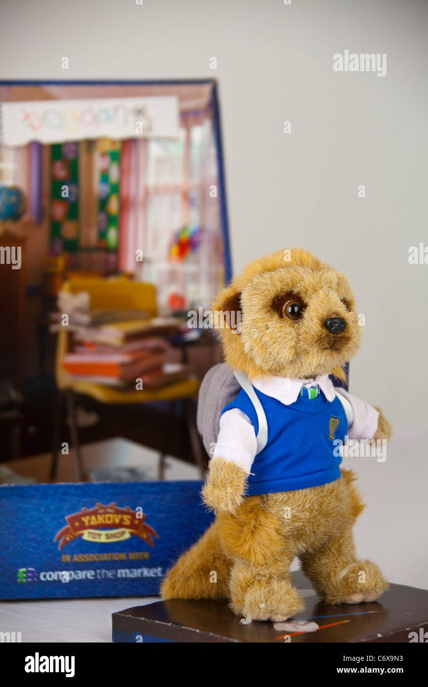 Bogdan, un jeune étudiant à l'Meerkovo meerkat peluche, à partir de la  campagne publicitaire comparethemeerkat.com Photo Stock - Alamy