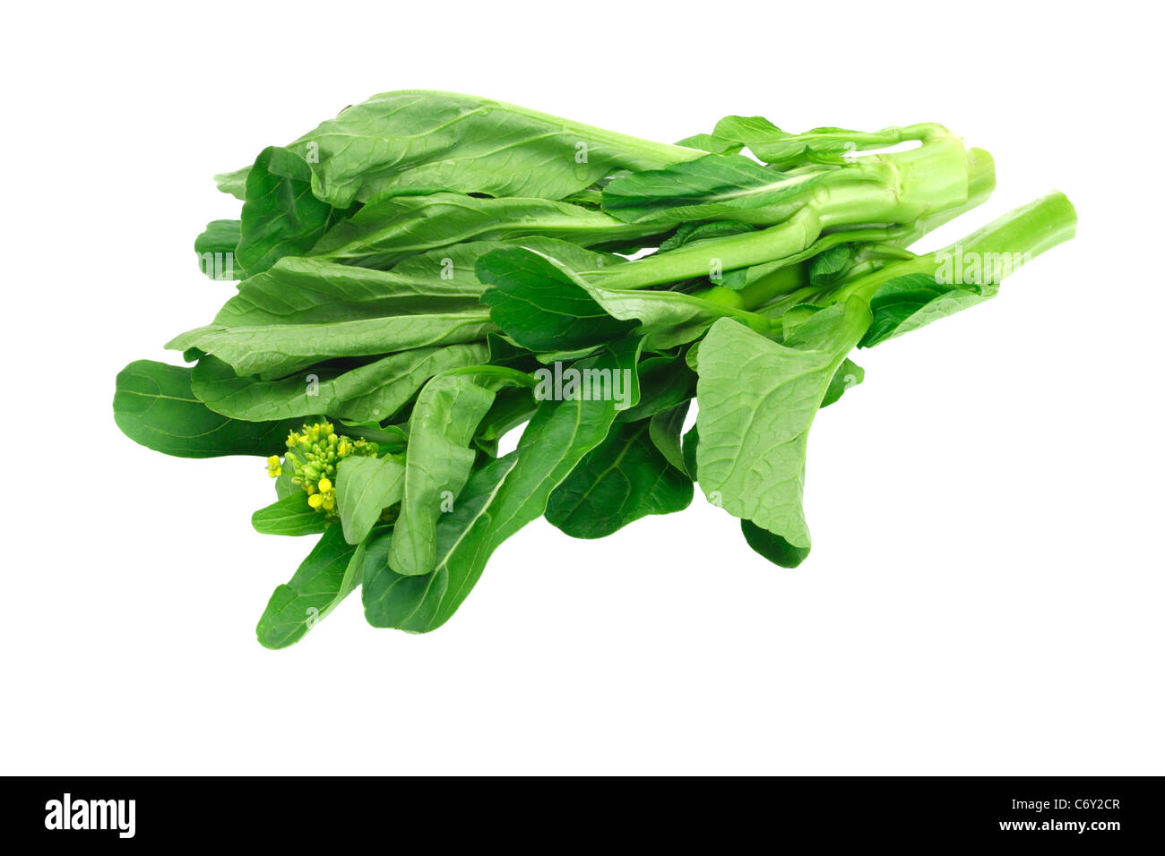 Frais vert sur fond blanc moutarde (Brassica juncea) Banque D'Images