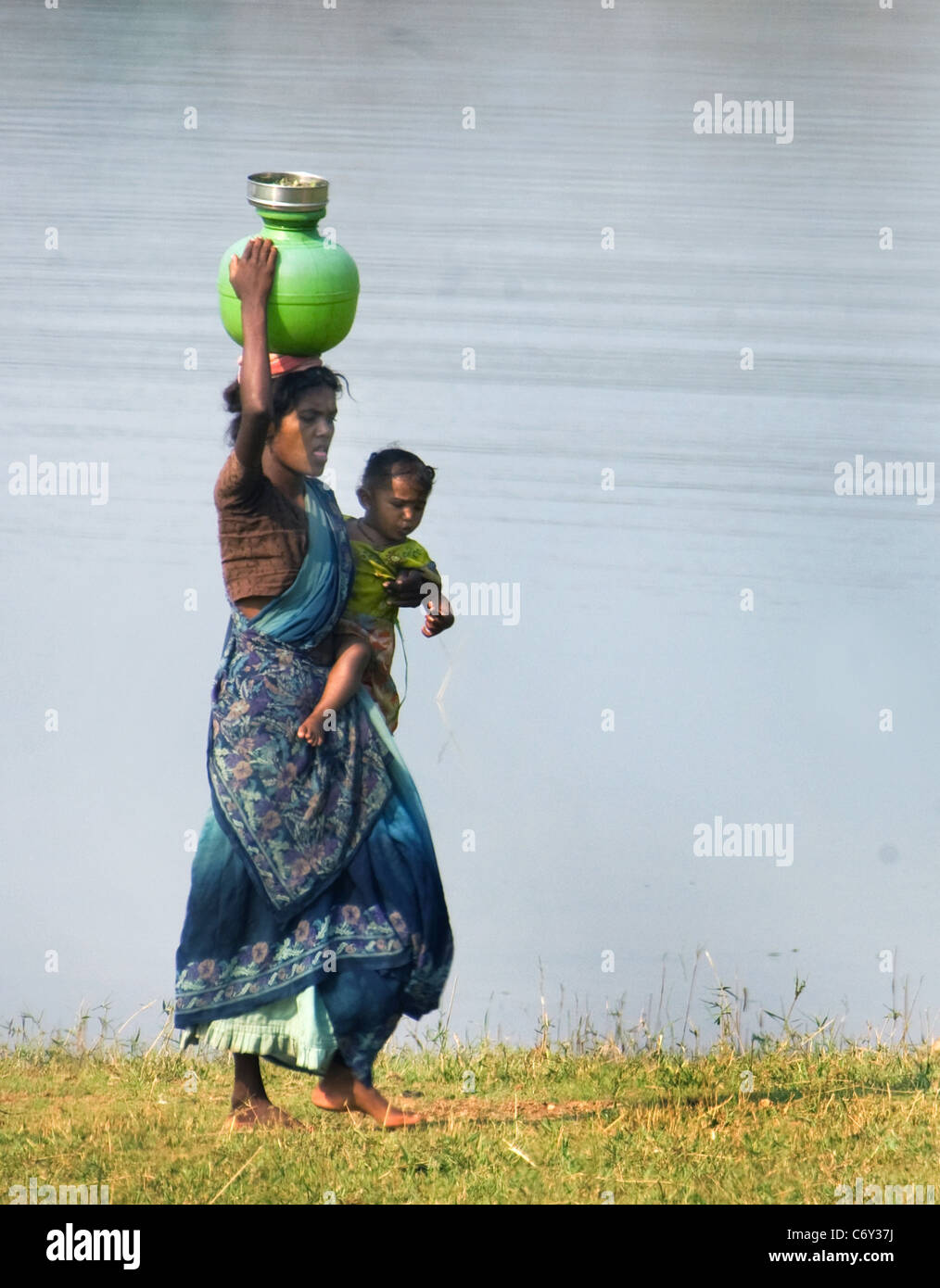 bête de somme Banque D'Images