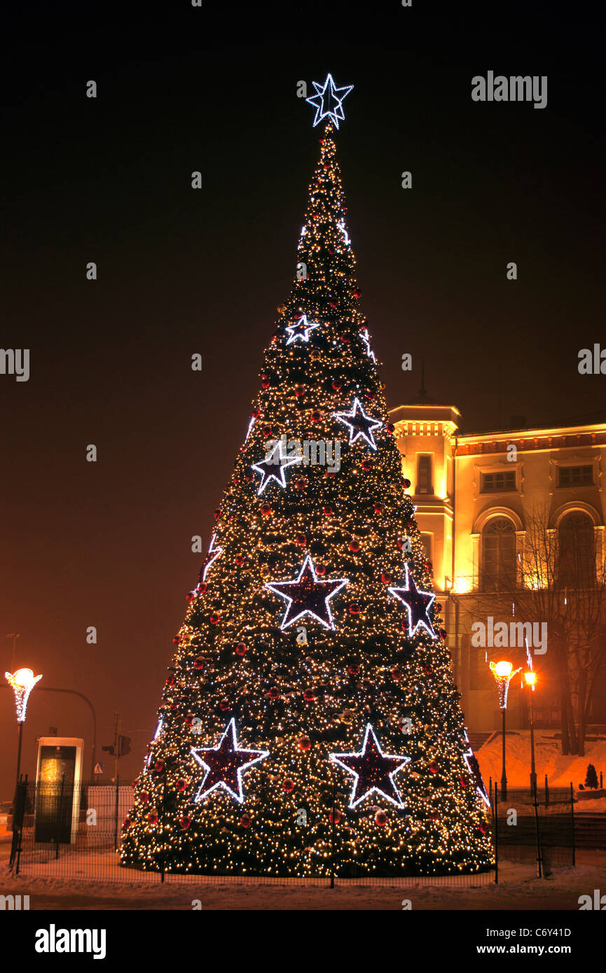 Sapin de Noël Banque D'Images