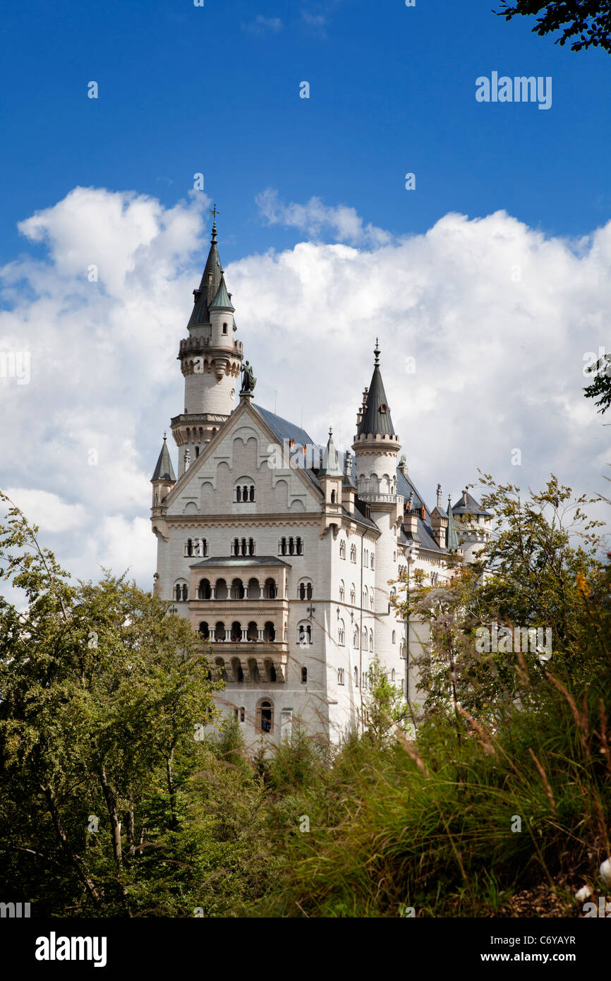 Le château de Neuschwanstein Bayern Allemagne Banque D'Images