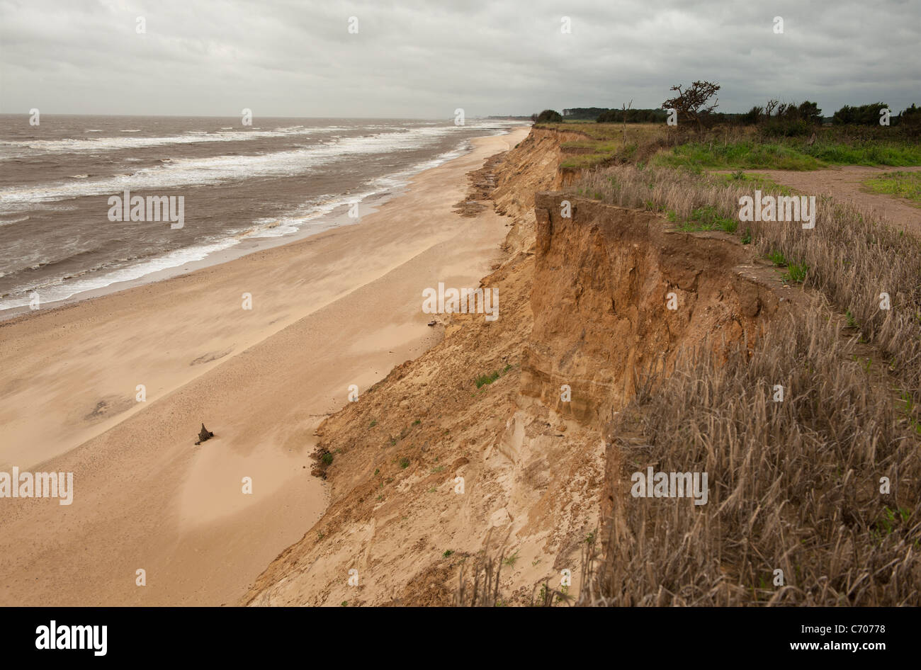 L'érosion côtière à Covehithe sur la côte East Anglian, Suffolk, Angleterre. La route se termine et tombe dans la mer du Nord. Banque D'Images