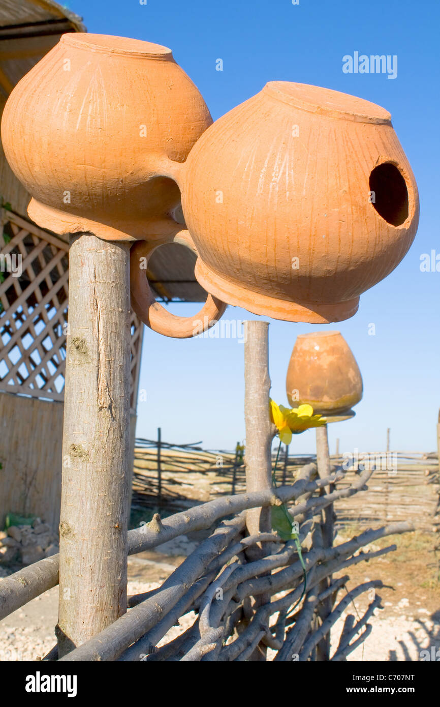 Vieux pot sur la barbe. Banque D'Images