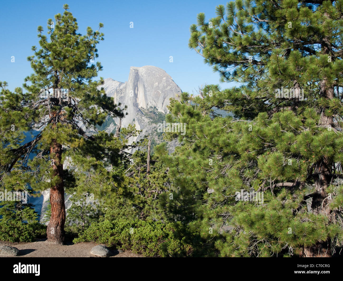 Half Dome, Yosemite National Park, États-Unis Banque D'Images
