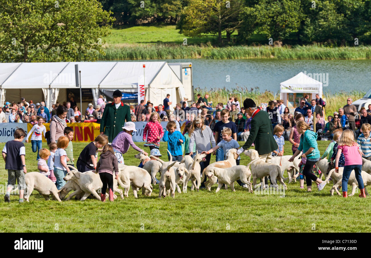 Les enfants face aux chasseurs et chiens de la North Norfolk à la recherche de busards 2011 Aylsham Show agricole, Norfolk, Royaume-Uni. Banque D'Images