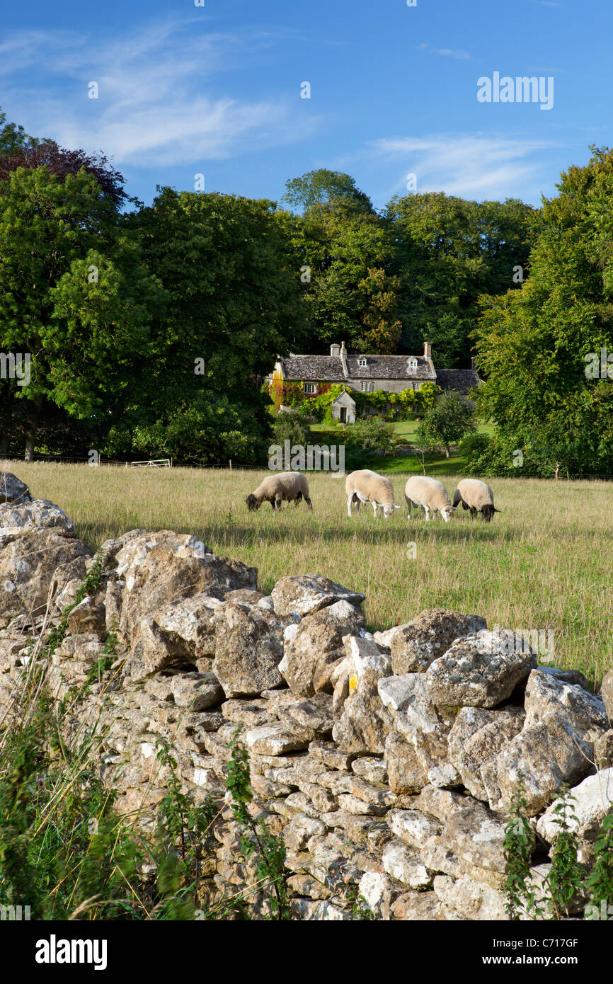 Cotswold cottage et muret de pierres sèches près de Eastleach Banque D'Images