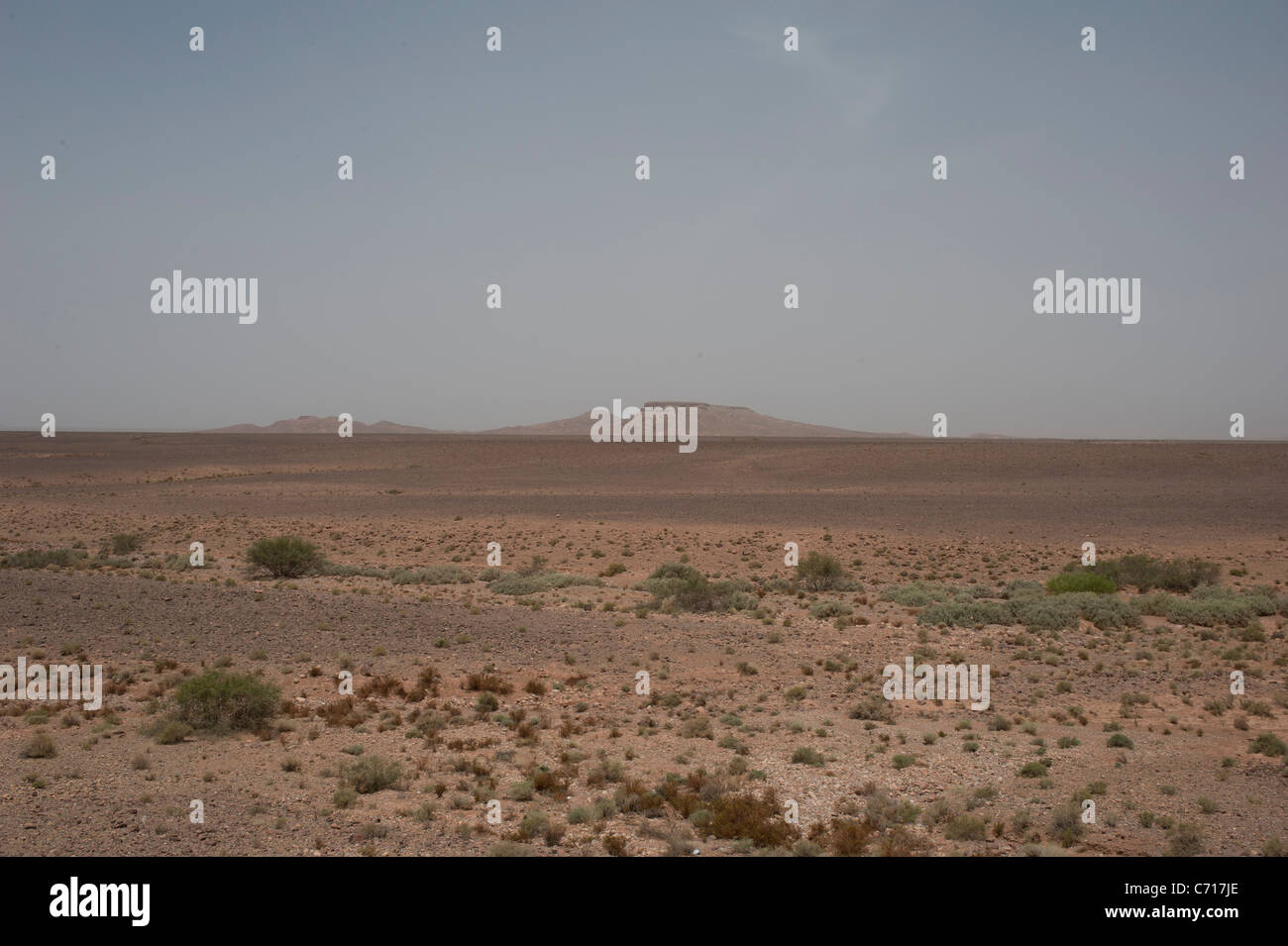 Le désert pierreux près de Zagora, le sud du Maroc, avec le Jebel Sarhro à distance. Banque D'Images