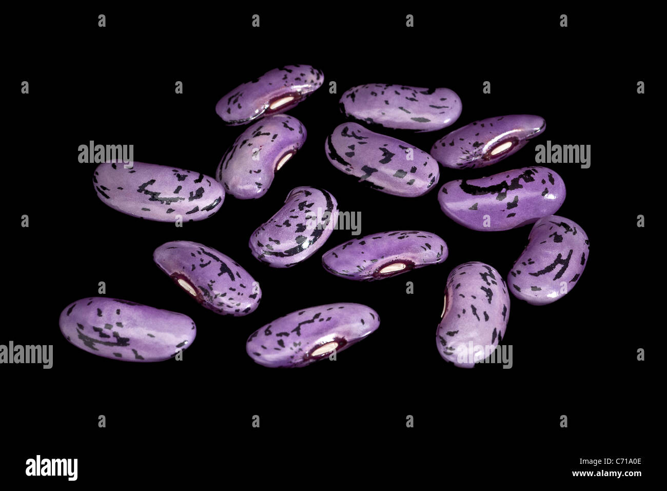 Scarlet runner beans (Phaseolus coccineus), photographié en studio sur un fond noir (macro / close-up). Banque D'Images