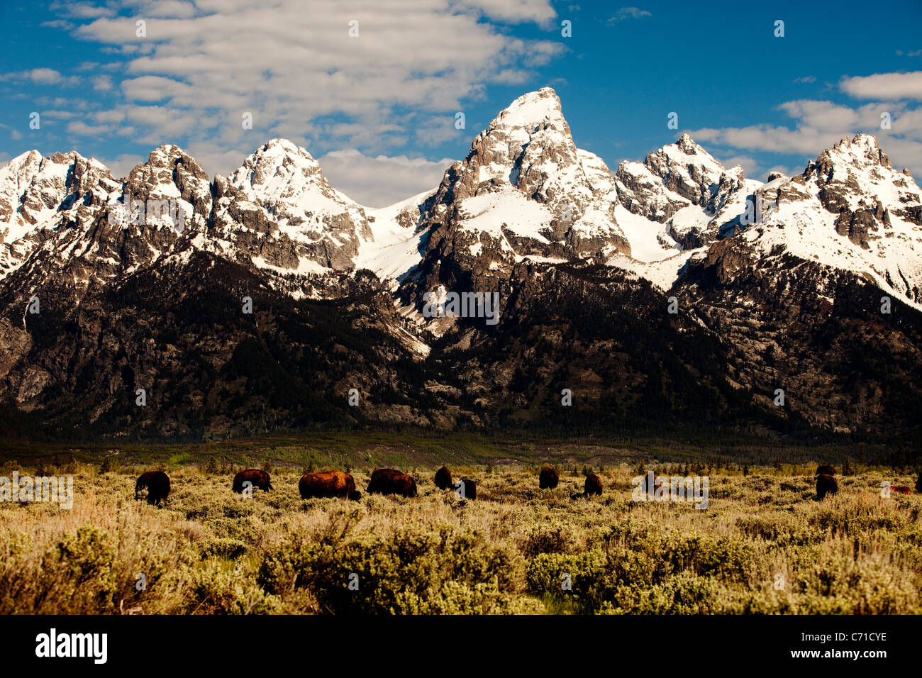 Grand Tetons à Jackson Hole Wyoming au lever du soleil. Banque D'Images