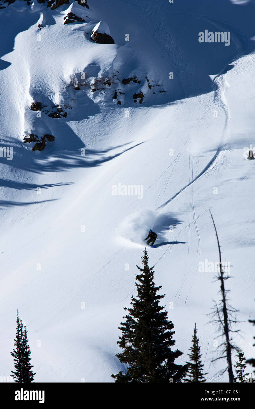Un snowboarder sculpte une poudre tourner vers le bas une énorme montagne dans le Colorado. Banque D'Images