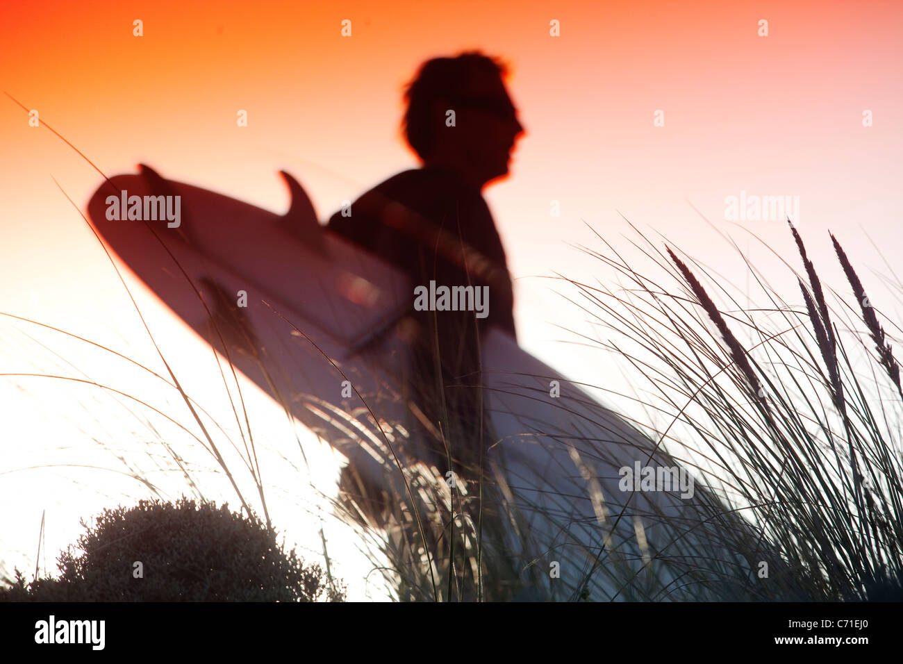 Un surfeur découpé sur le soleil levant, sur l'île King, en Tasmanie, en Australie. Banque D'Images