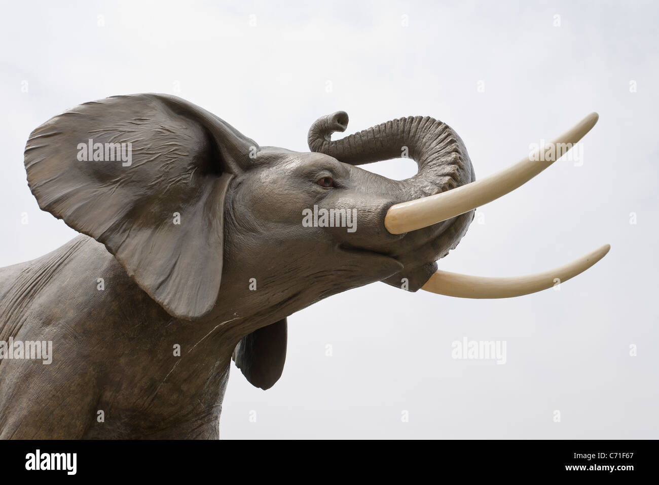Détail de la tête d'une statue de Jumbo l'éléphant. Une statue grandeur nature de Jumbo l'éléphant à St Thomas. Banque D'Images