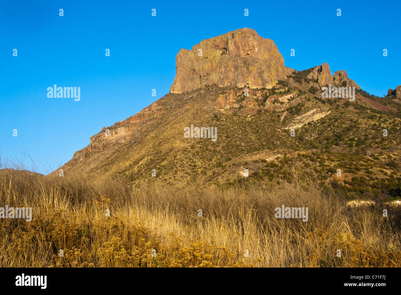La lumière dorée du soleil couchant sur l'herbe dans le pré près de 'La fenêtre' dans les montagnes Chiso à Big Bend National Park, Texas. Banque D'Images